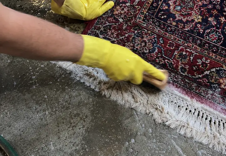 Profissional da Flex Clean escovando manualmente a franja de um tapete