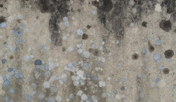 Textura abstrata marrom e preta semelhante a mofo
