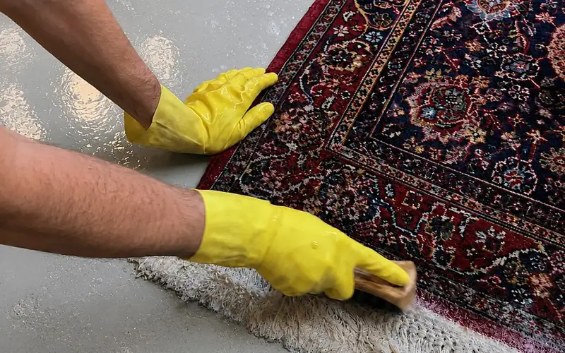 Profissional escovando as franjas de um tapete persa durante a lavagem